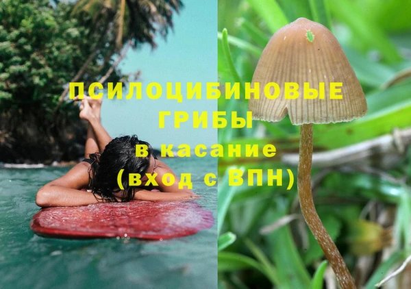 ПСИЛОЦИБИНОВЫЕ ГРИБЫ Алексеевка
