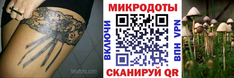 Псилоцибиновые грибы мицелий  закладки  Избербаш 